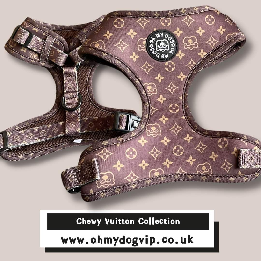 Chewy V Brown Harness